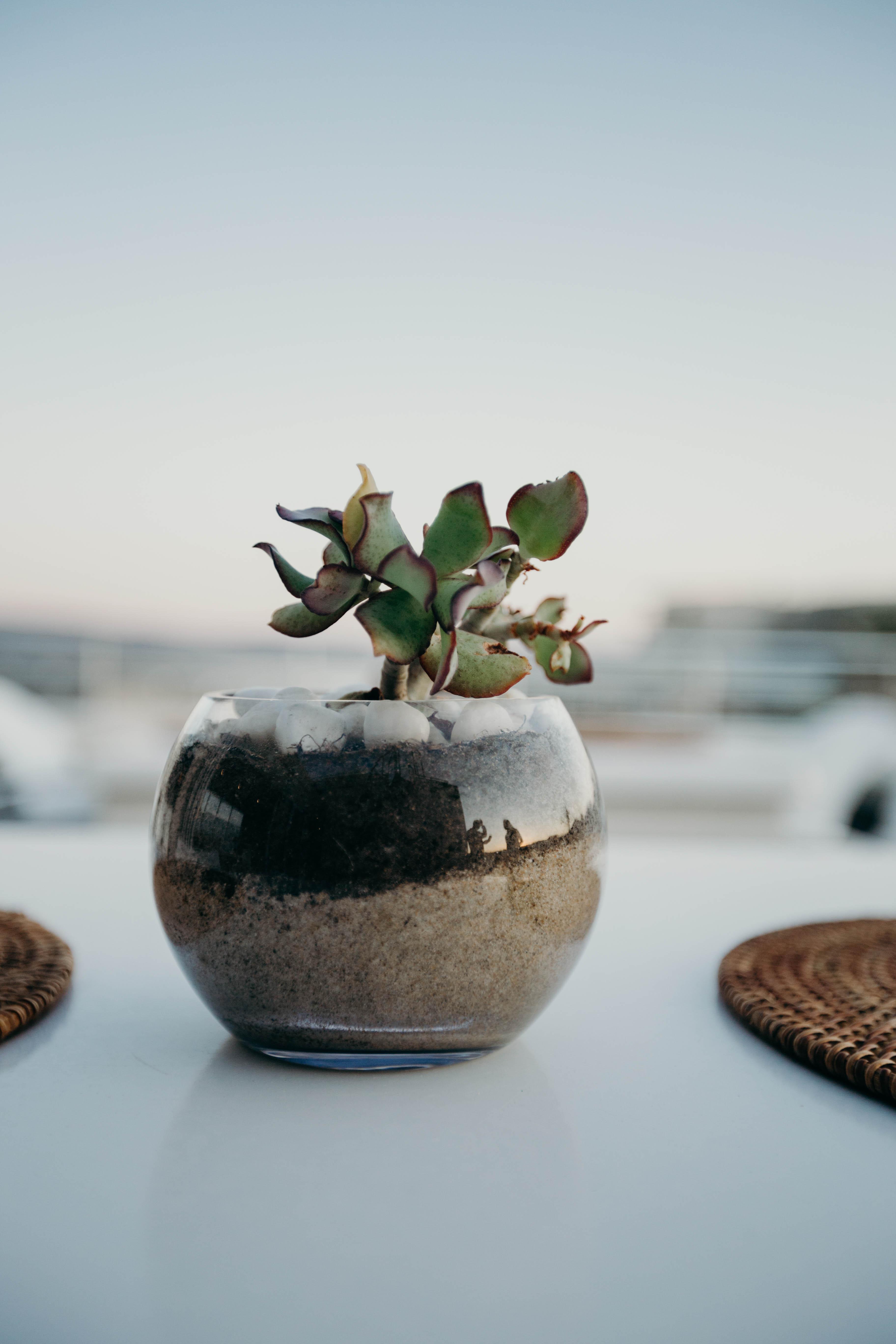 The Robberg Beach Lodge - Lion Roars Hotels & Lodges Plettenberg Bay Eksteriør bilde