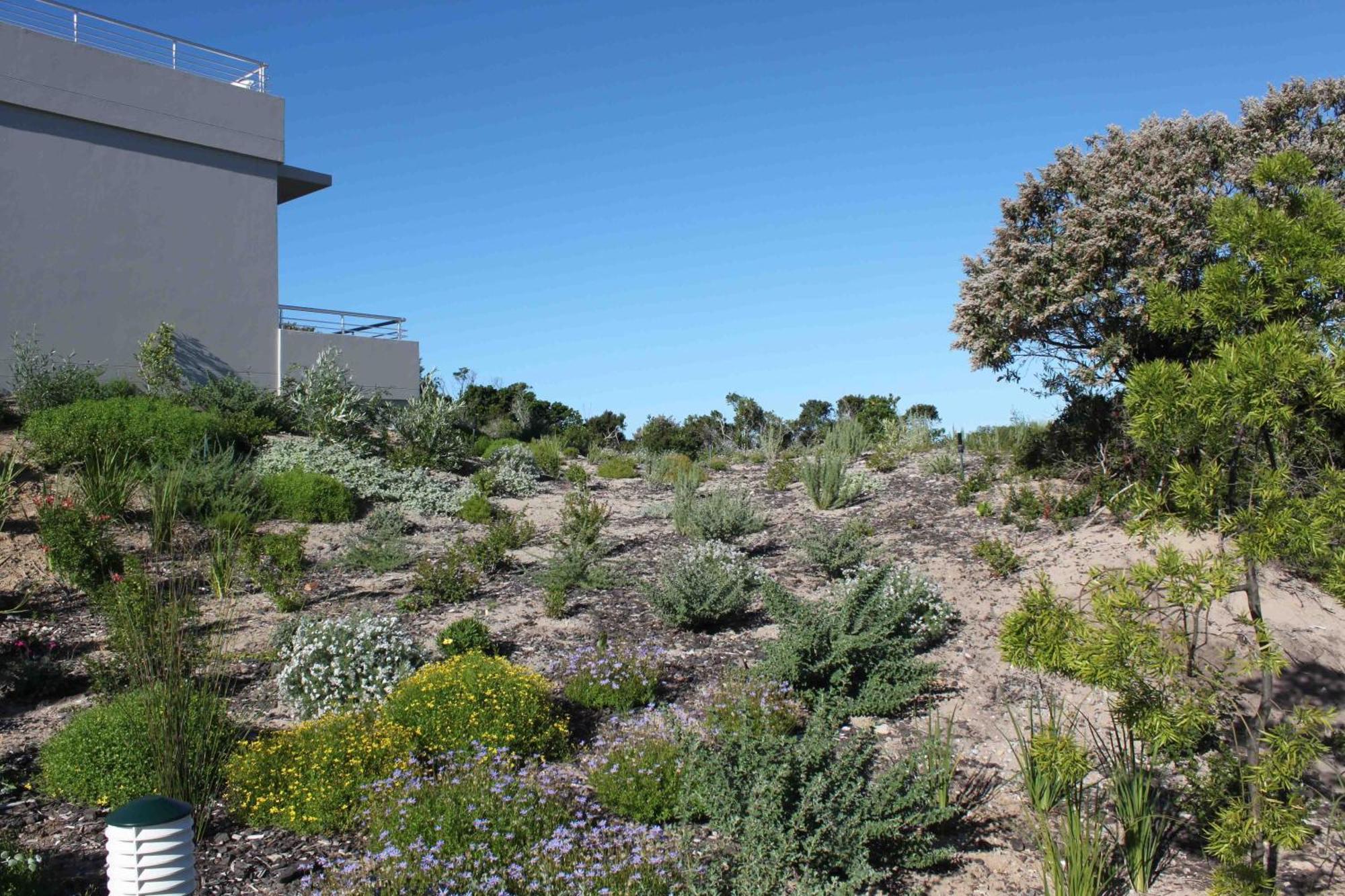 The Robberg Beach Lodge - Lion Roars Hotels & Lodges Plettenberg Bay Eksteriør bilde
